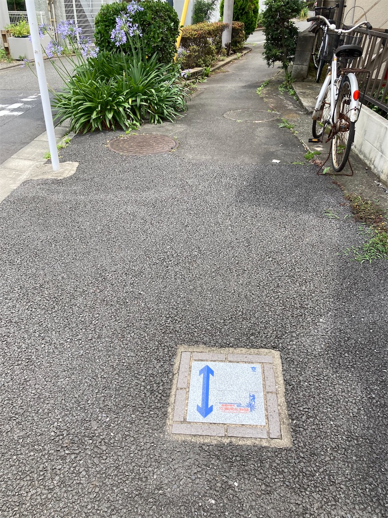 f:id:masaru-arameya:20220620131540j:image f:id:masaru-arameya:20220620131540j:image