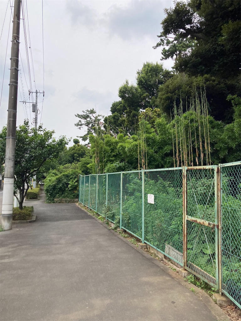 f:id:masaru-arameya:20220621145528j:image f:id:masaru-arameya:20220621145528j:image