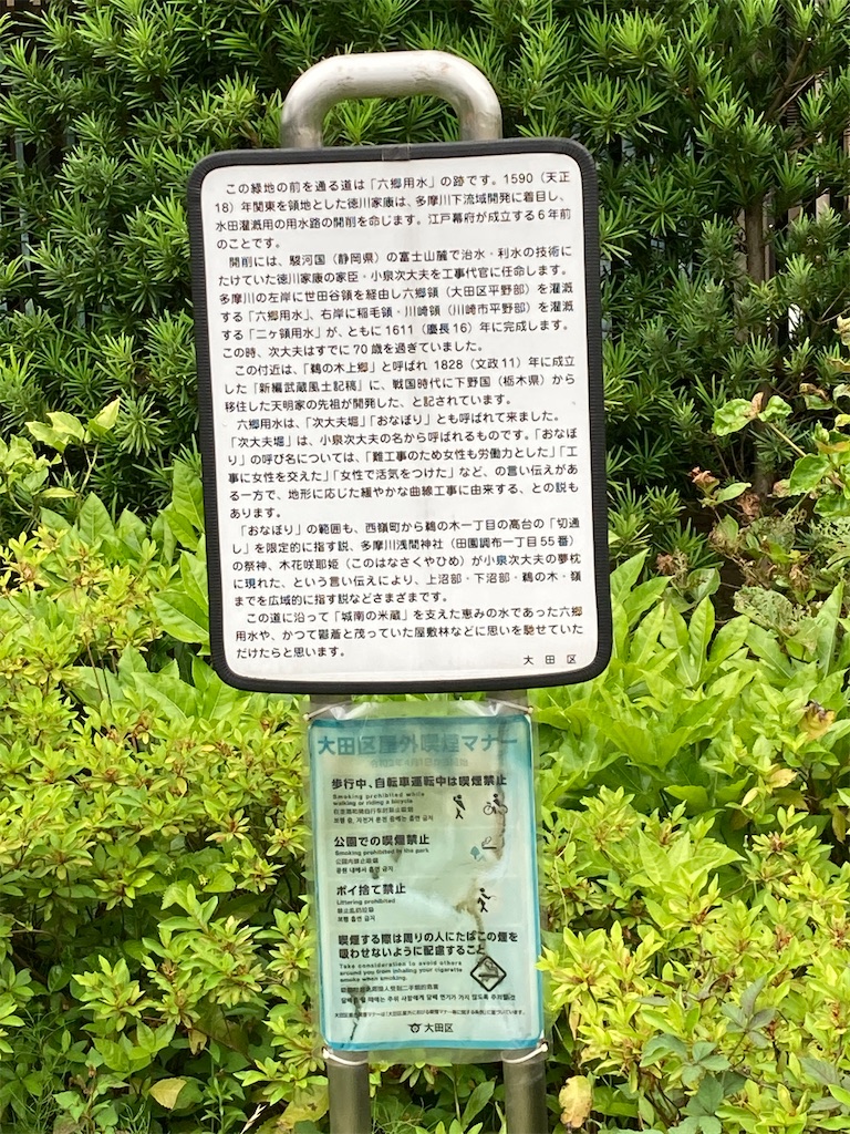 f:id:masaru-arameya:20220621145739j:image f:id:masaru-arameya:20220621145739j:image