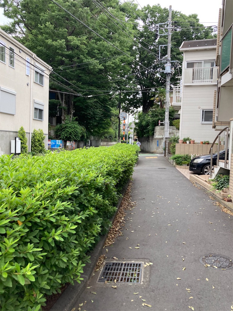 f:id:masaru-arameya:20220621145742j:image f:id:masaru-arameya:20220621145742j:image