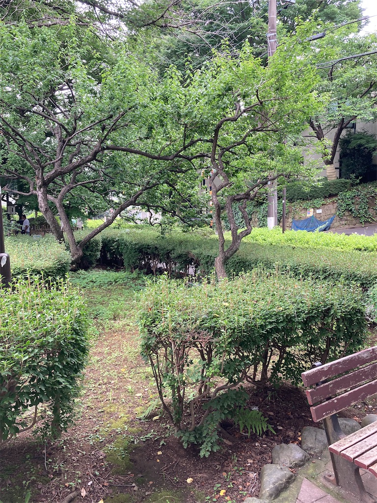 f:id:masaru-arameya:20220621145811j:image f:id:masaru-arameya:20220621145811j:image