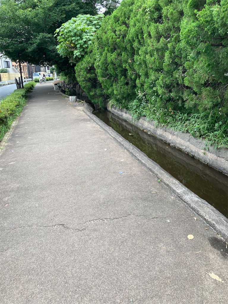 f:id:masaru-arameya:20220621145848j:image f:id:masaru-arameya:20220621145848j:image