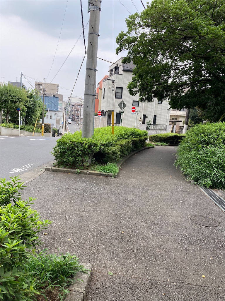 f:id:masaru-arameya:20220621145851j:image f:id:masaru-arameya:20220621145851j:image
