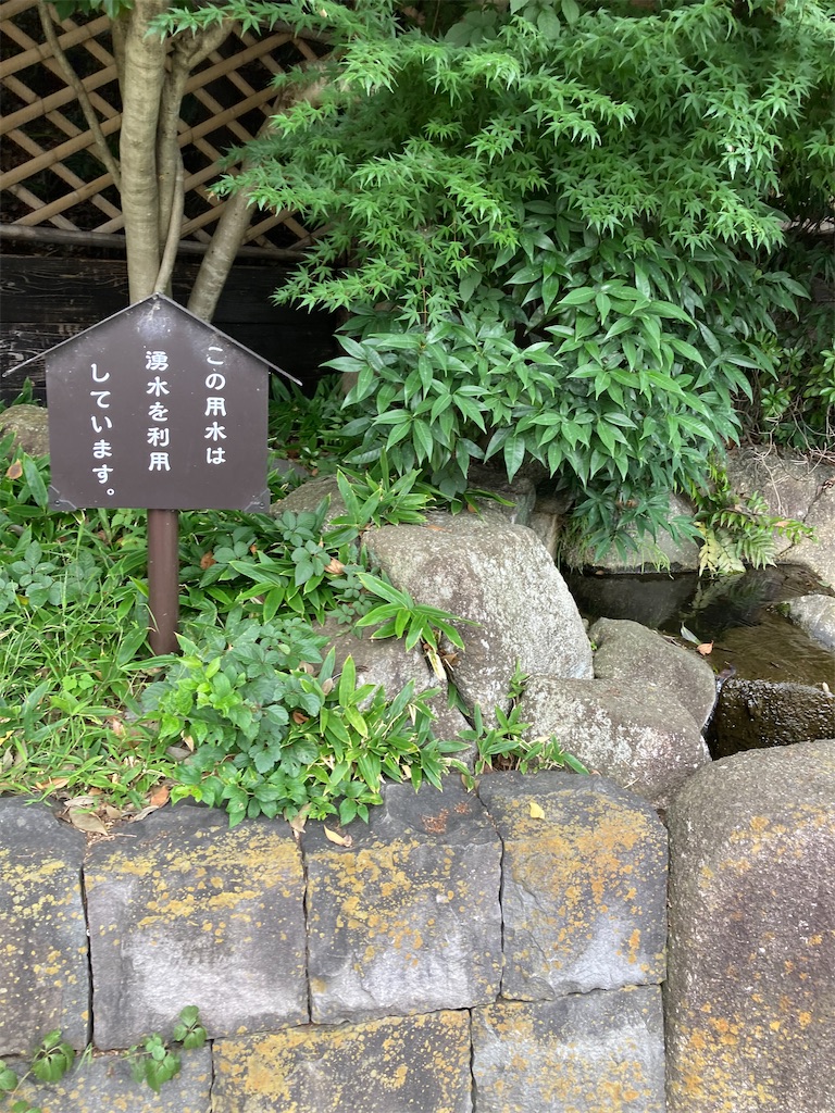 f:id:masaru-arameya:20220621145912j:image f:id:masaru-arameya:20220621145912j:image