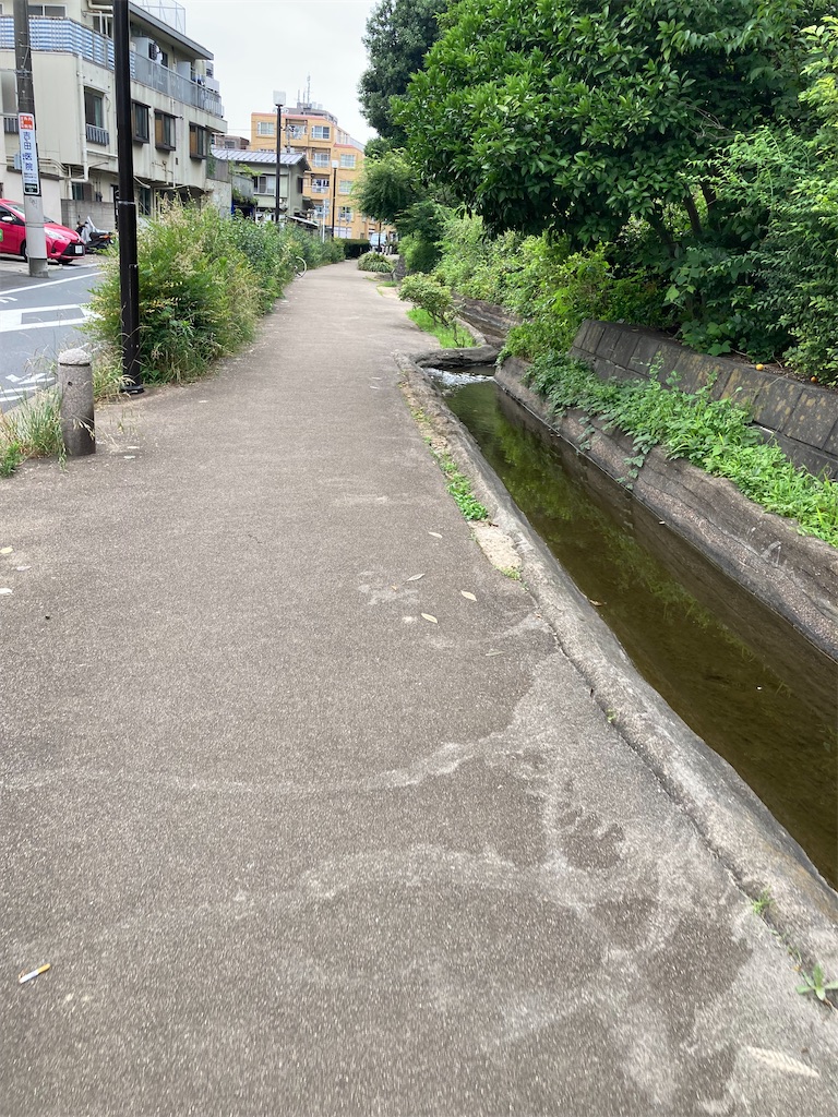 f:id:masaru-arameya:20220621145915j:image f:id:masaru-arameya:20220621145915j:image