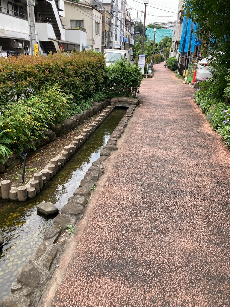 f:id:masaru-arameya:20220621150005j:image f:id:masaru-arameya:20220621150005j:image