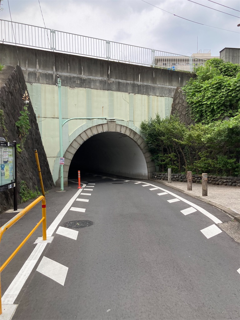 f:id:masaru-arameya:20220621150055j:image f:id:masaru-arameya:20220621150055j:image