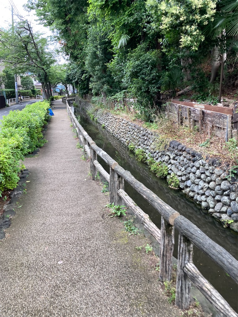 f:id:masaru-arameya:20220621150120j:image f:id:masaru-arameya:20220621150120j:image