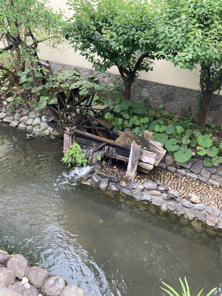 f:id:masaru-arameya:20220621150124j:image f:id:masaru-arameya:20220621150124j:image