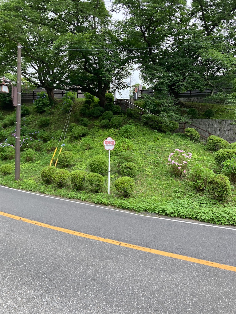 f:id:masaru-arameya:20220623154319j:image f:id:masaru-arameya:20220623154319j:image