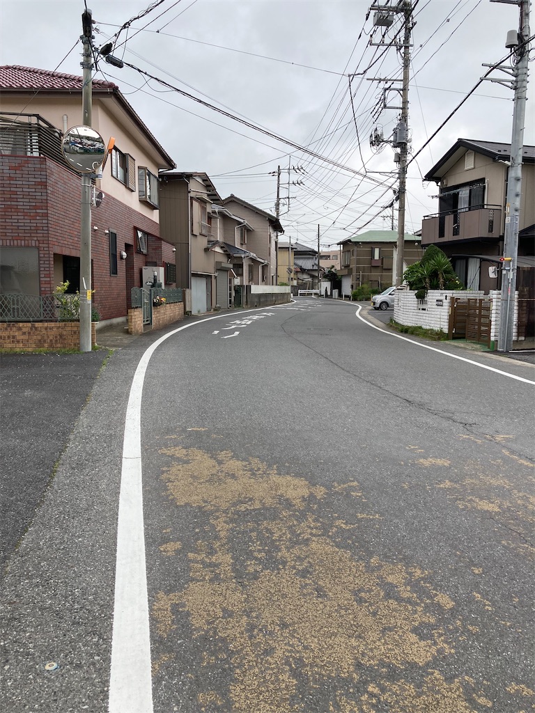 f:id:masaru-arameya:20220623221023j:image f:id:masaru-arameya:20220623221023j:image