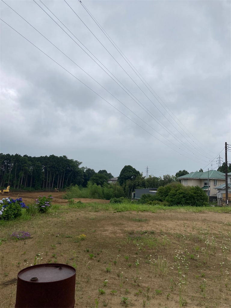 f:id:masaru-arameya:20220623221153j:image f:id:masaru-arameya:20220623221153j:image