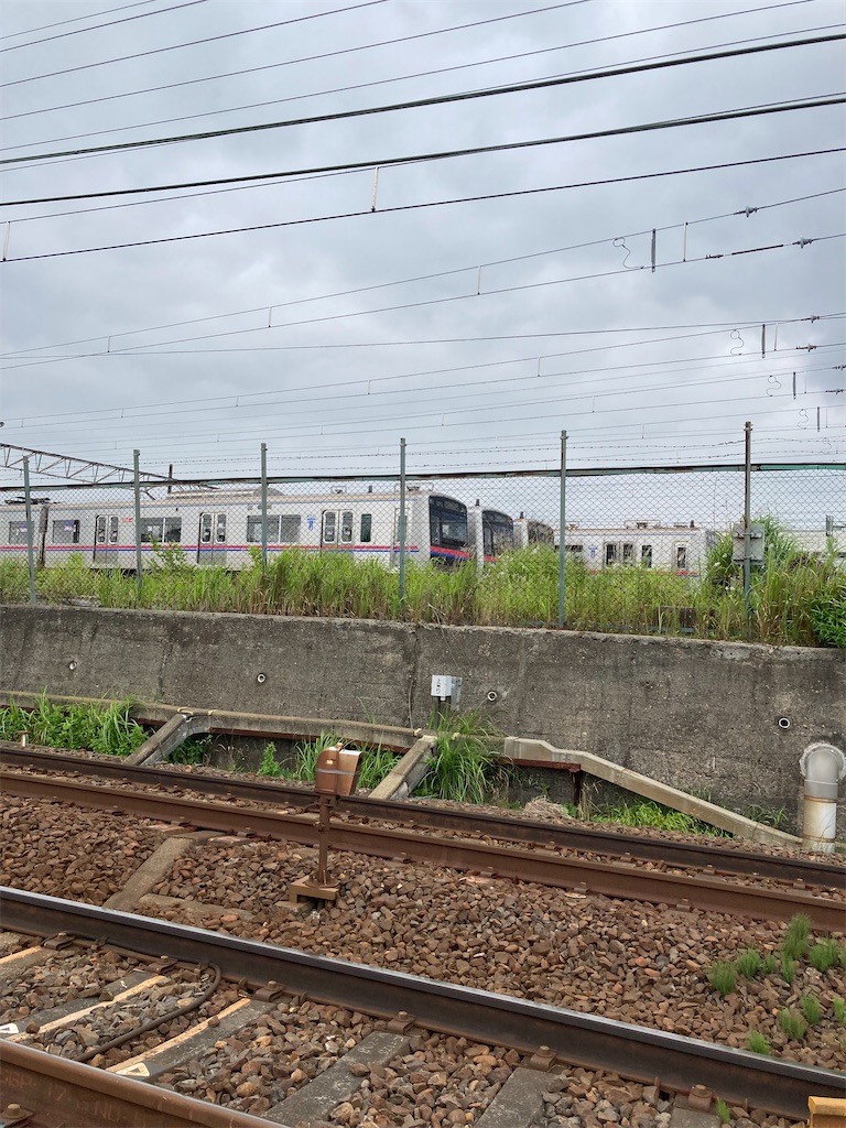 f:id:masaru-arameya:20220625142547j:image f:id:masaru-arameya:20220625142547j:image