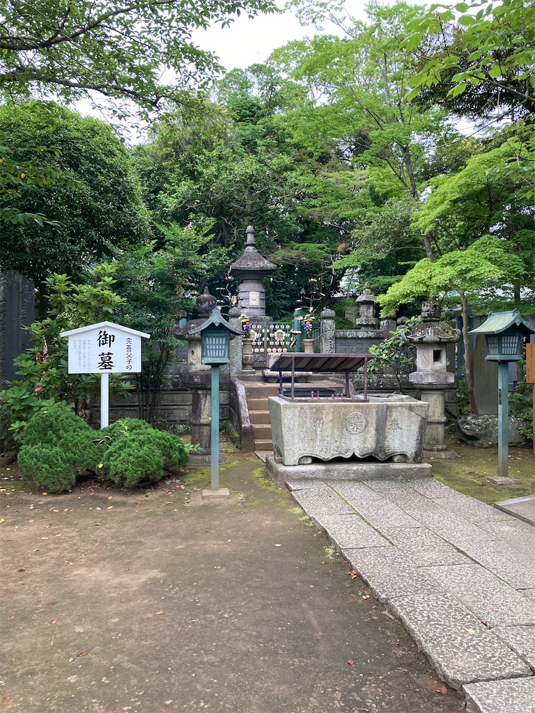 f:id:masaru-arameya:20220625144907j:image f:id:masaru-arameya:20220625144907j:image