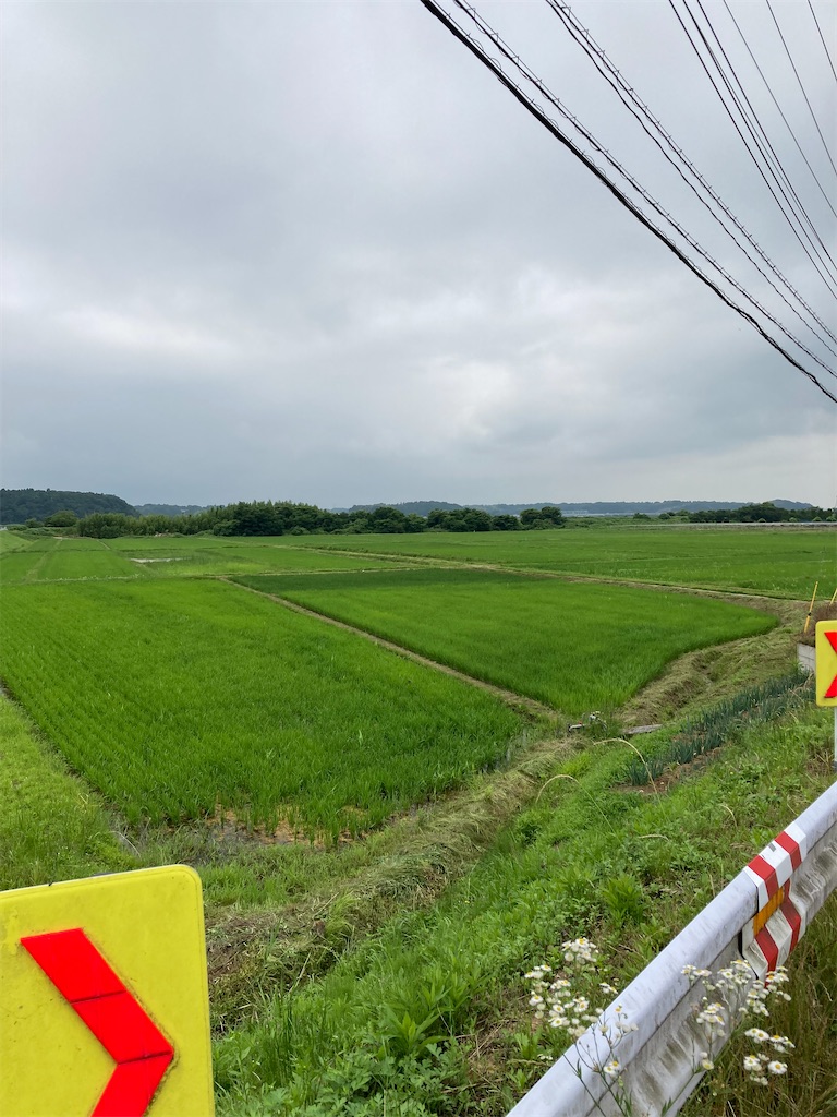 f:id:masaru-arameya:20220626065521j:image f:id:masaru-arameya:20220626065521j:image