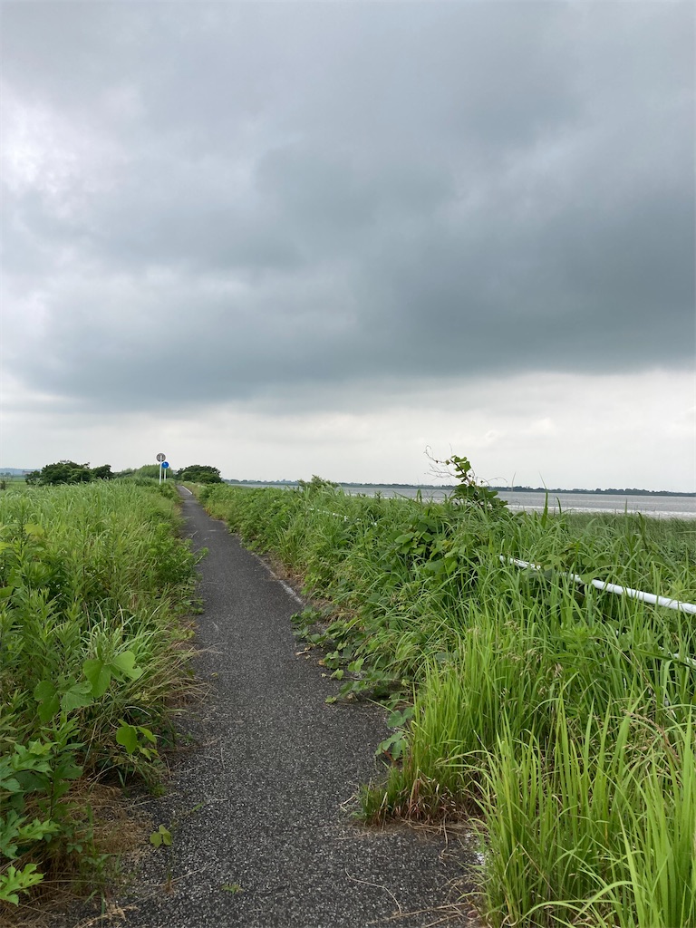 f:id:masaru-arameya:20220626070019j:image f:id:masaru-arameya:20220626070019j:image