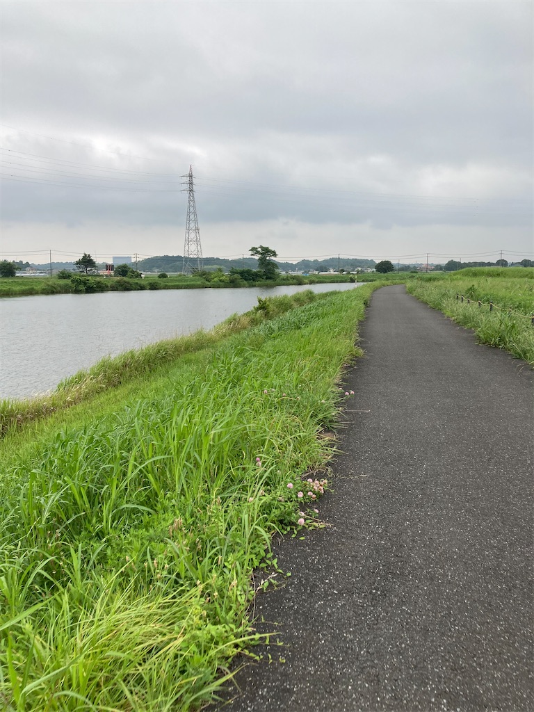 f:id:masaru-arameya:20220626070520j:image f:id:masaru-arameya:20220626070520j:image