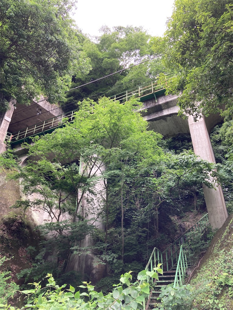 f:id:masaru-arameya:20220630084917j:image f:id:masaru-arameya:20220630084917j:image