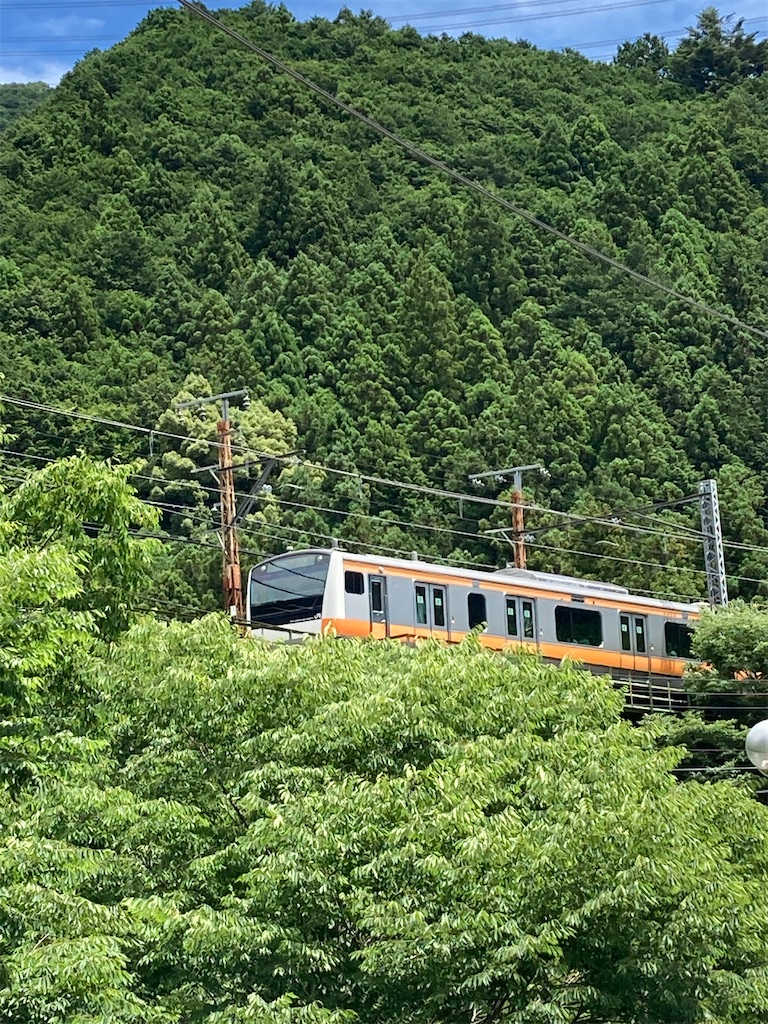 f:id:masaru-arameya:20220630085402j:image f:id:masaru-arameya:20220630085402j:image