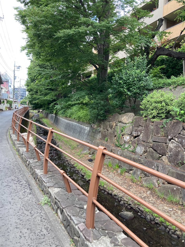 f:id:masaru-arameya:20220710103241j:image f:id:masaru-arameya:20220710103241j:image