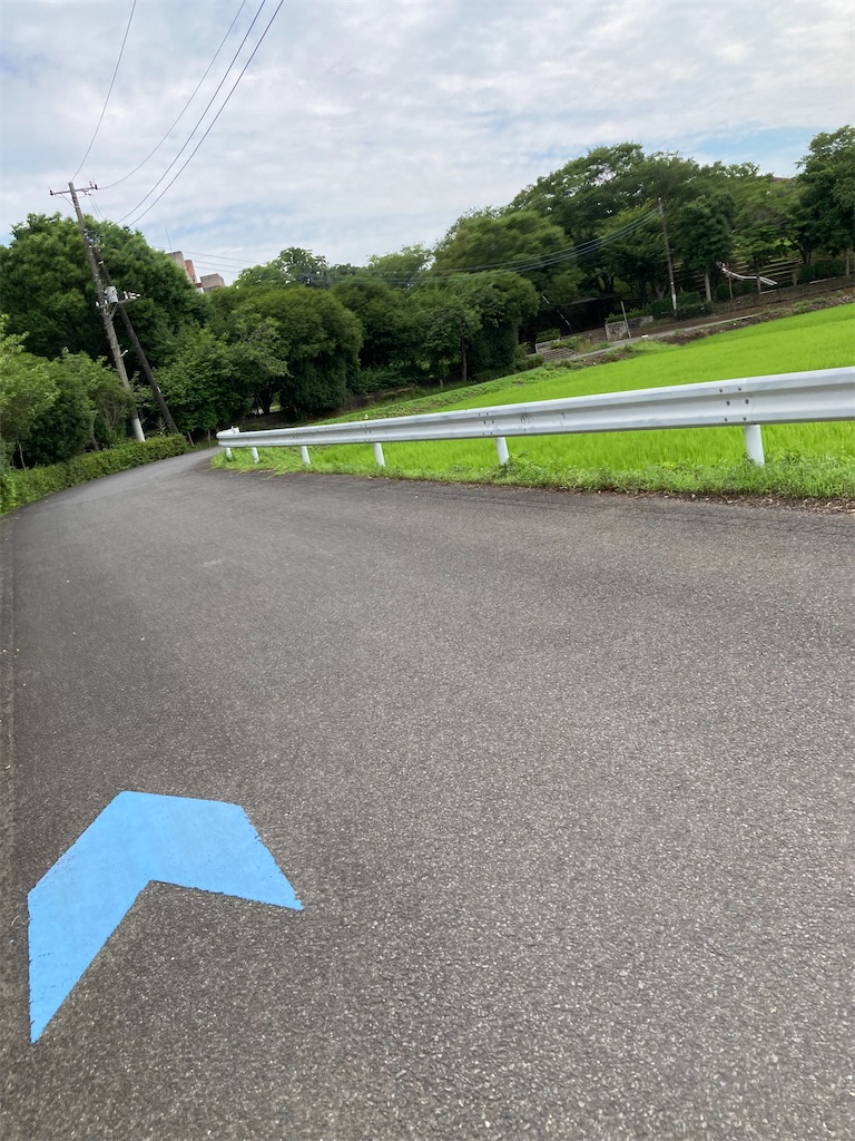 f:id:masaru-arameya:20220718140133j:image f:id:masaru-arameya:20220718140133j:image