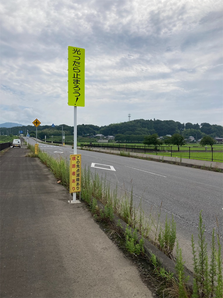 f:id:masaru-arameya:20220718140308j:image f:id:masaru-arameya:20220718140308j:image