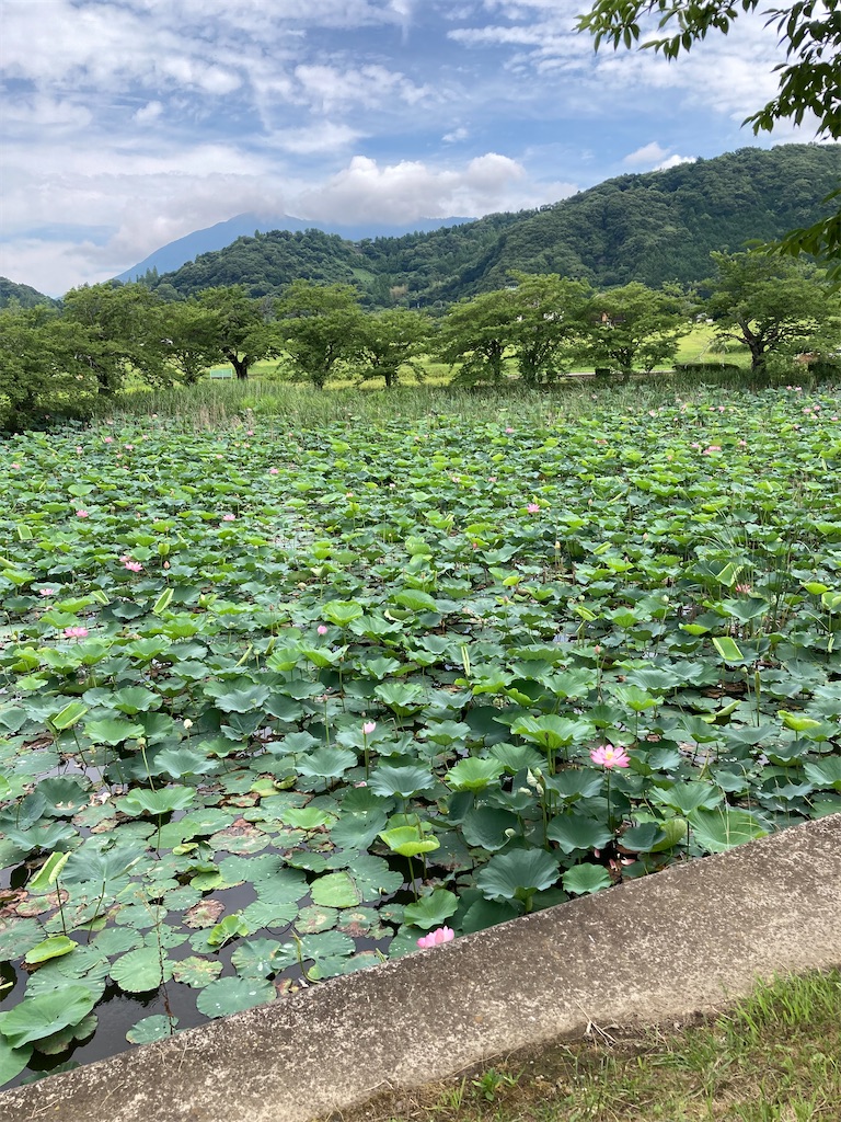 f:id:masaru-arameya:20220718143616j:image f:id:masaru-arameya:20220718143616j:image