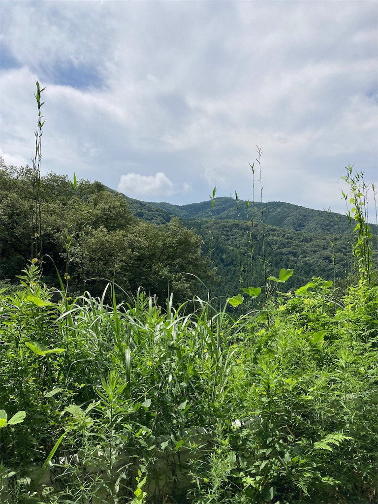 f:id:masaru-arameya:20220718144027j:image f:id:masaru-arameya:20220718144027j:image