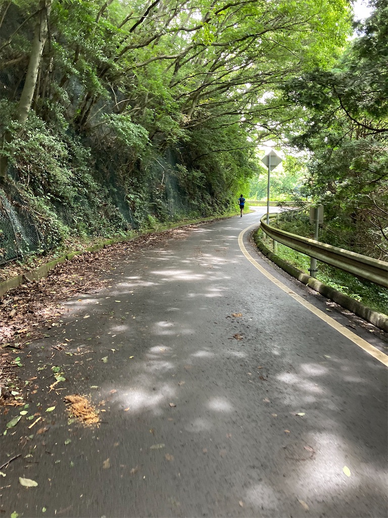 f:id:masaru-arameya:20220718144127j:image f:id:masaru-arameya:20220718144127j:image