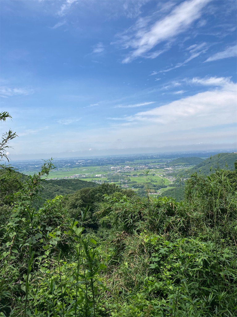 f:id:masaru-arameya:20220718144132j:image f:id:masaru-arameya:20220718144132j:image