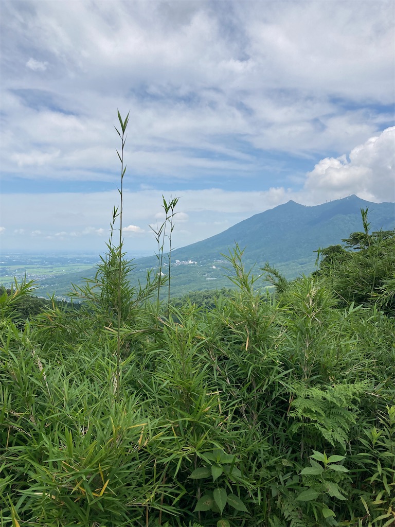 f:id:masaru-arameya:20220718145107j:image f:id:masaru-arameya:20220718145107j:image