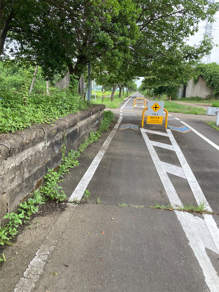 f:id:masaru-arameya:20220719093209j:image f:id:masaru-arameya:20220719093209j:image