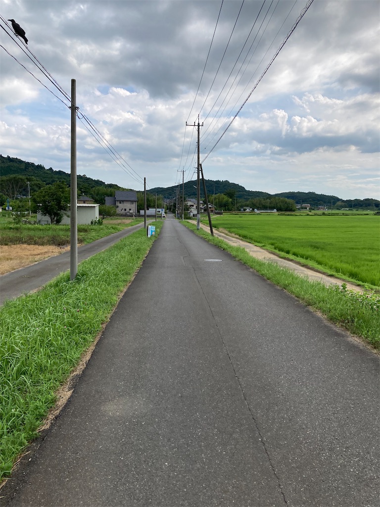 f:id:masaru-arameya:20220722100304j:image f:id:masaru-arameya:20220722100304j:image