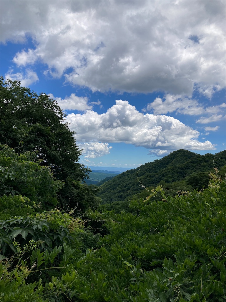 f:id:masaru-arameya:20220723154652j:image f:id:masaru-arameya:20220723154652j:image