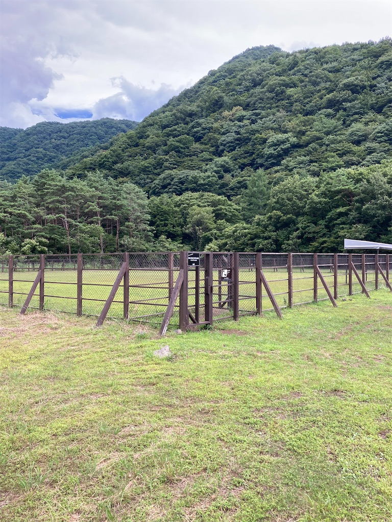 f:id:masaru-arameya:20220801062936j:image f:id:masaru-arameya:20220801062936j:image