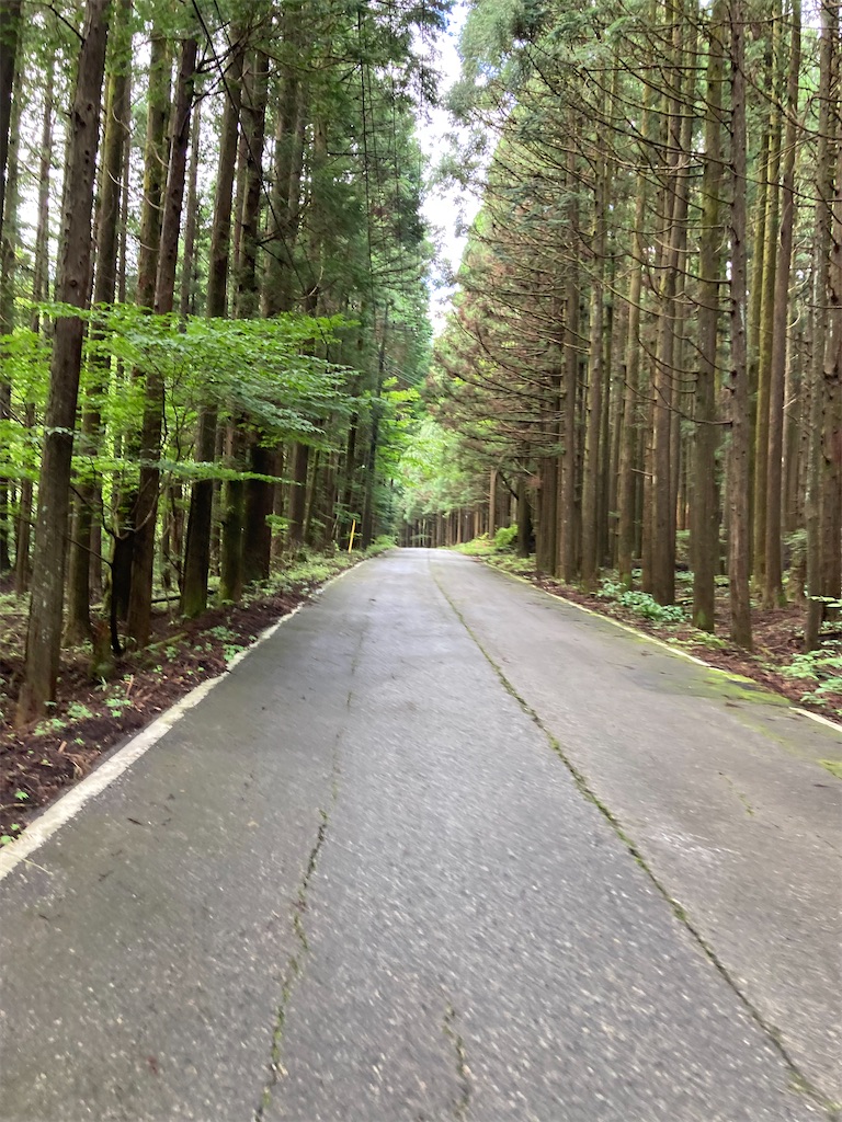 f:id:masaru-arameya:20220807190953j:image f:id:masaru-arameya:20220807190953j:image