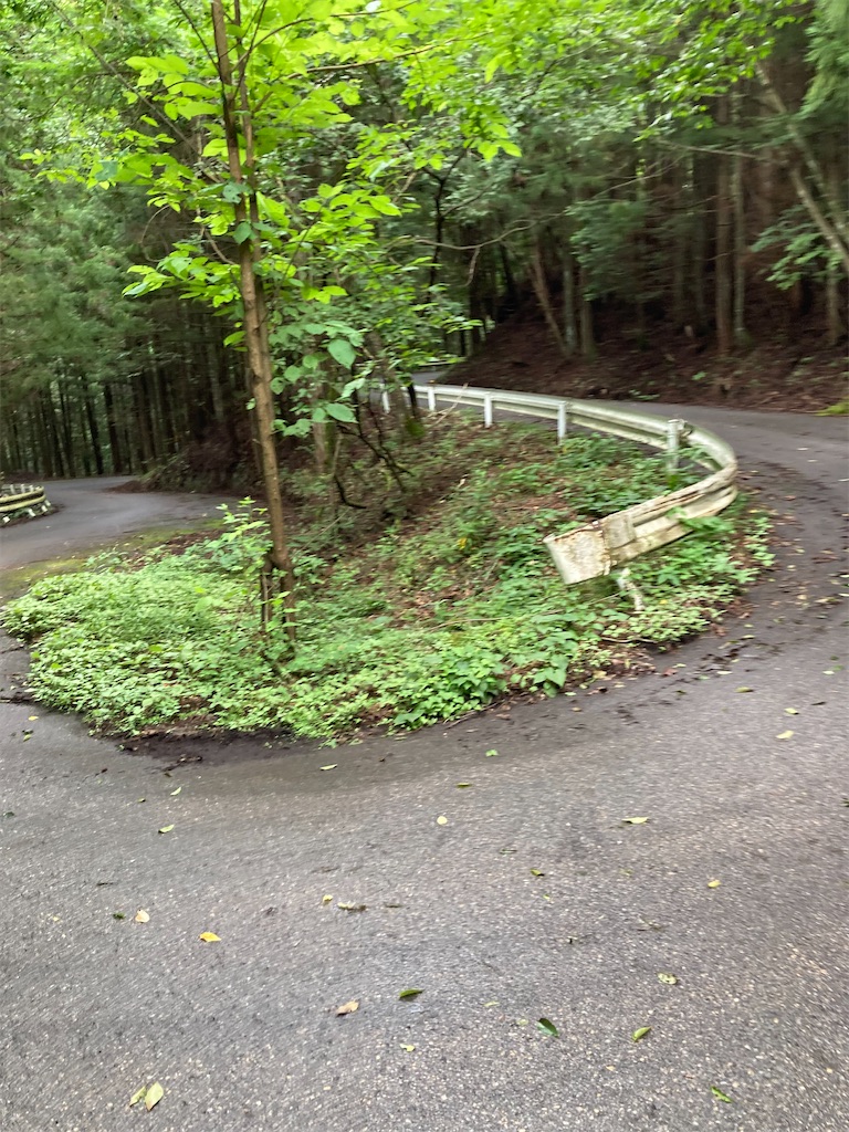 f:id:masaru-arameya:20220807191219j:image f:id:masaru-arameya:20220807191219j:image