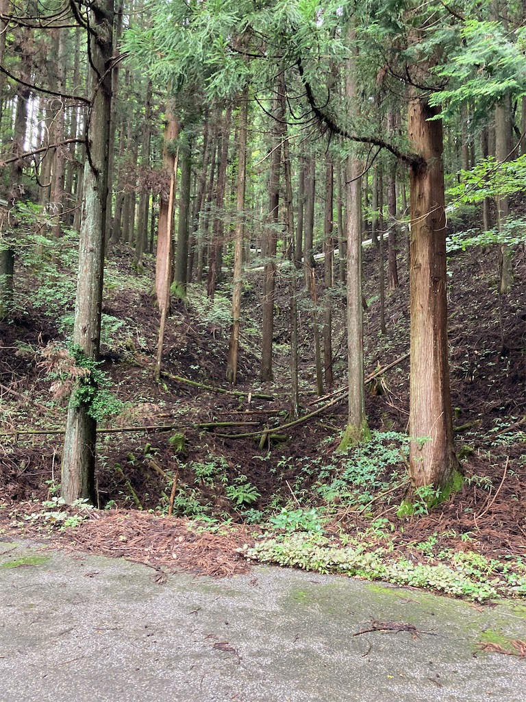 f:id:masaru-arameya:20220807191223j:image f:id:masaru-arameya:20220807191223j:image