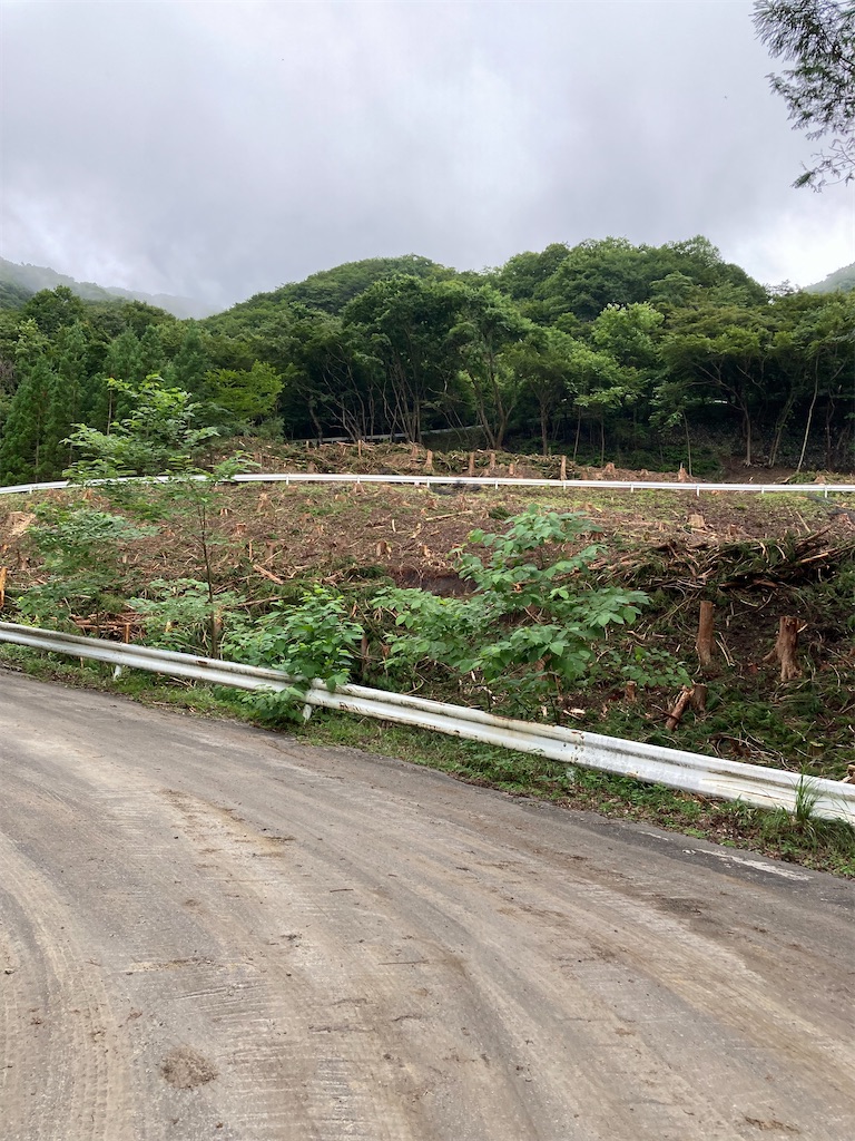 f:id:masaru-arameya:20220807191340j:image f:id:masaru-arameya:20220807191340j:image
