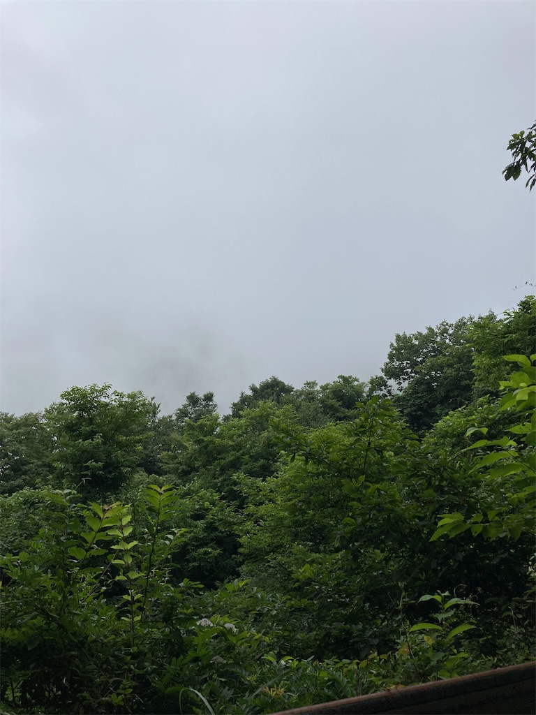 f:id:masaru-arameya:20220807191442j:image f:id:masaru-arameya:20220807191442j:image
