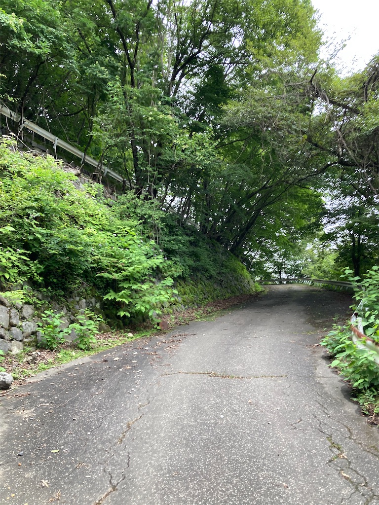 f:id:masaru-arameya:20220807191450j:image f:id:masaru-arameya:20220807191450j:image