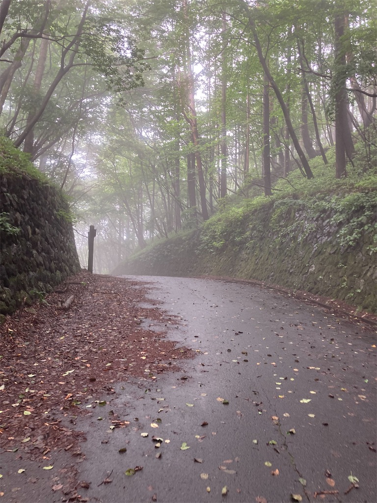 f:id:masaru-arameya:20220807191548j:image f:id:masaru-arameya:20220807191548j:image