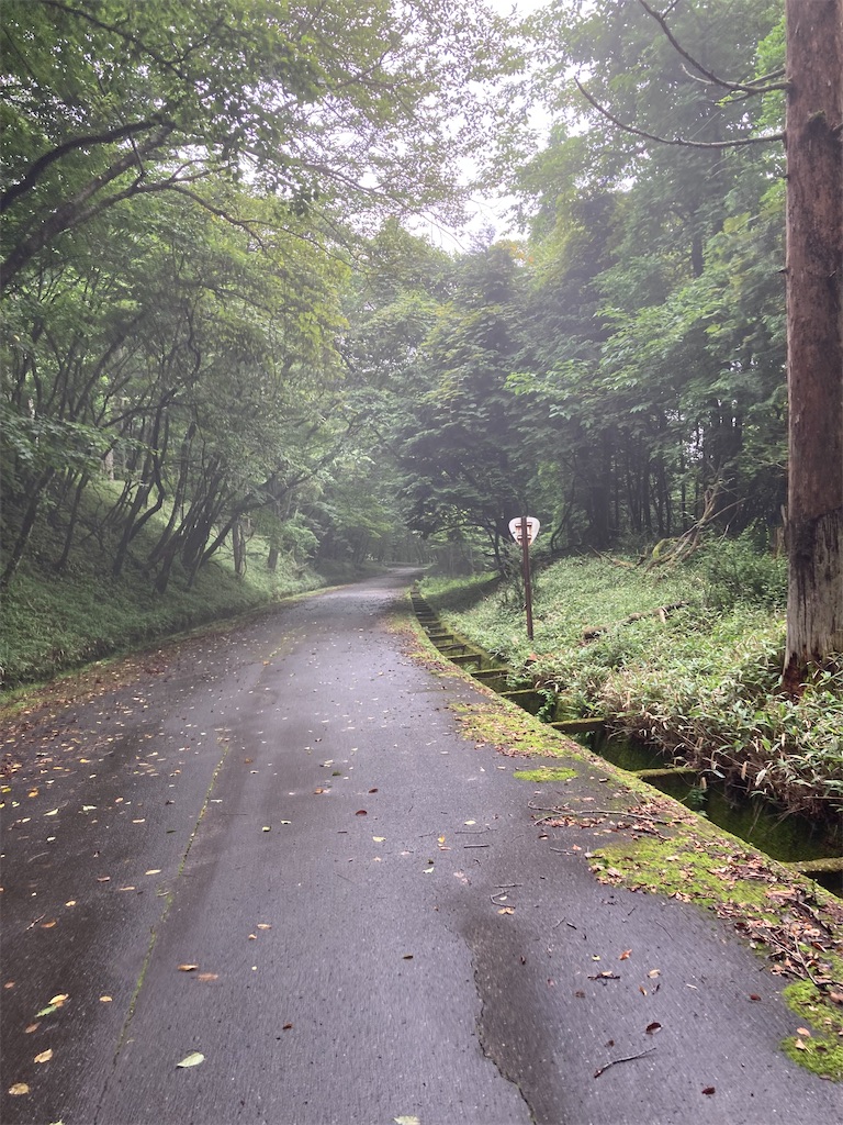f:id:masaru-arameya:20220807191742j:image f:id:masaru-arameya:20220807191742j:image