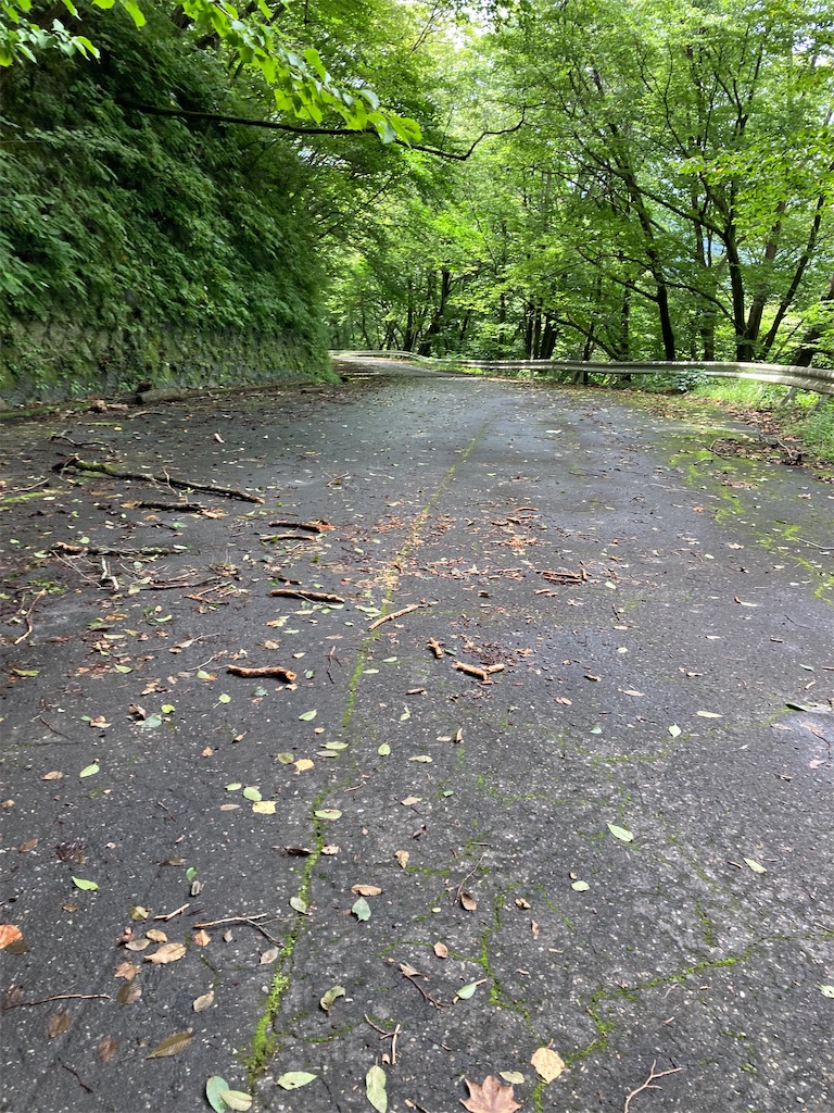 f:id:masaru-arameya:20220807191917j:image f:id:masaru-arameya:20220807191917j:image