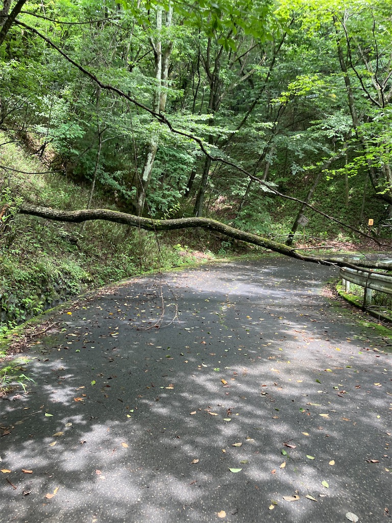 f:id:masaru-arameya:20220807191922j:image f:id:masaru-arameya:20220807191922j:image