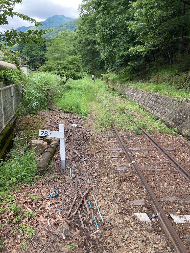 f:id:masaru-arameya:20220807193330j:image f:id:masaru-arameya:20220807193330j:image