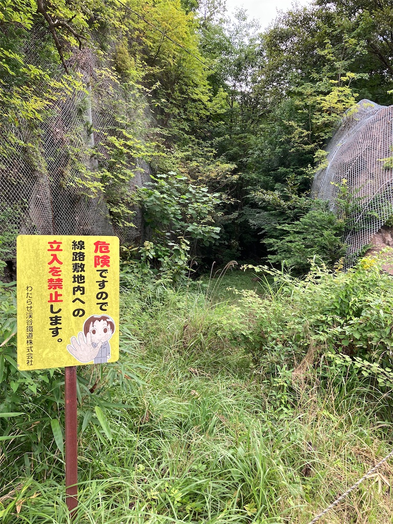 f:id:masaru-arameya:20220807193513j:image f:id:masaru-arameya:20220807193513j:image