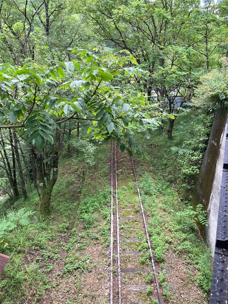 f:id:masaru-arameya:20220807194131j:image f:id:masaru-arameya:20220807194131j:image