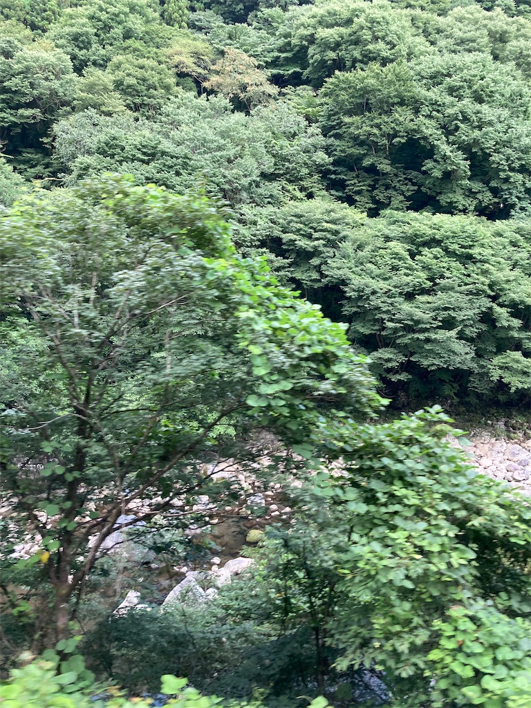 f:id:masaru-arameya:20220807200131j:image f:id:masaru-arameya:20220807200131j:image