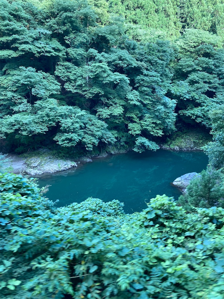 f:id:masaru-arameya:20220807200217j:image f:id:masaru-arameya:20220807200217j:image